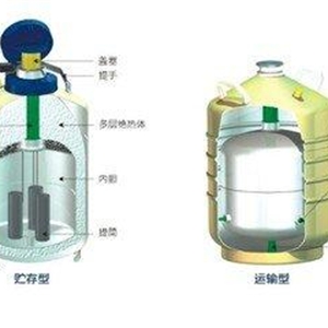 金凤10升125mm口径YDS-10-125手提液氮罐