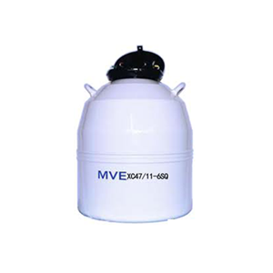 MVE 液氮罐 XC 47/11-6SQ