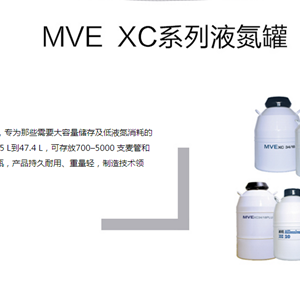 查特MVE XC Millennium 20液氮罐