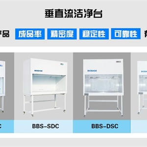 单人双面款 超净工作台-博科