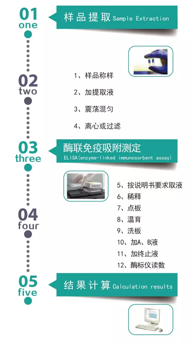 黄曲霉毒素B1酶联免疫分析方案