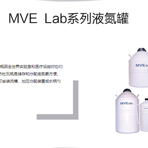 查特MVE液氮罐LAB 10