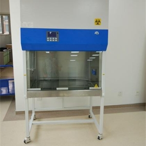 BSC-1100IIA2-X二级生物安全柜价格