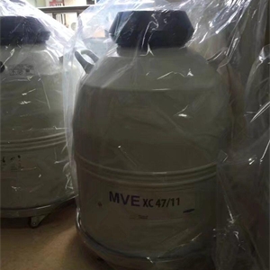 美国查特MVE液氮罐Cryosystem 750