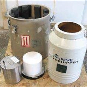 MVE进口vapor系列液氮罐价格