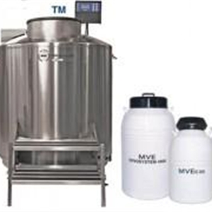 MVE 800Series液氮生物容器815P-190