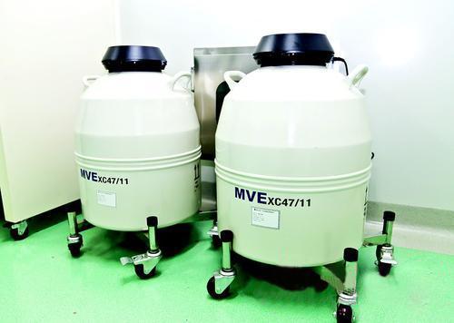 MVE进口液氮罐 XC 47/11-10