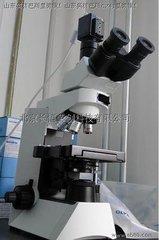 OLYMPUS生物显微镜CX41