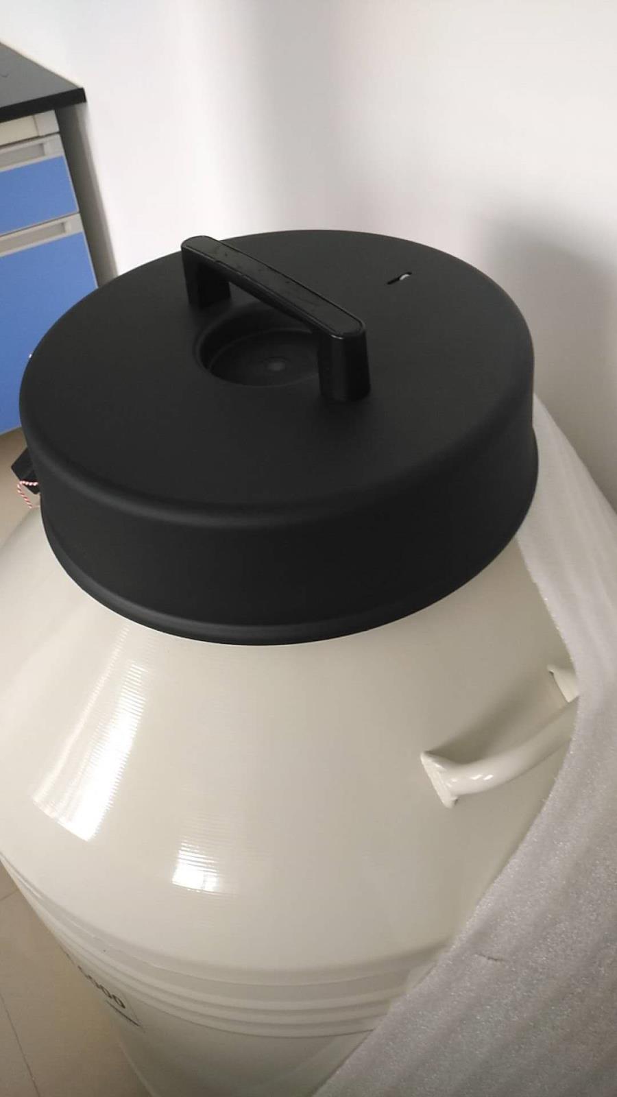 MVE SYTERM2000进口液氮罐