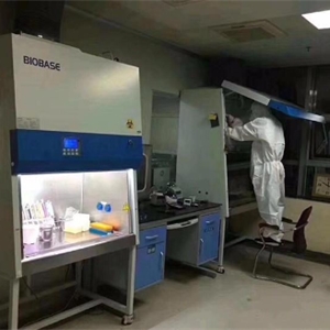 微生物实验生物安全柜BSC-1100IIA2-X