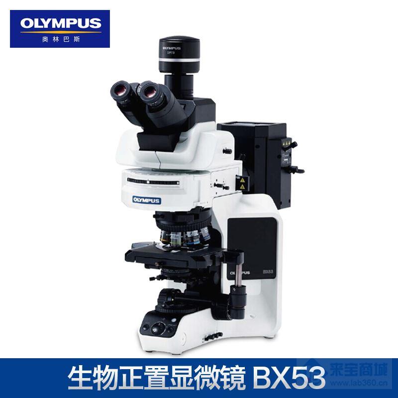 奥林巴斯BX53生物显微镜