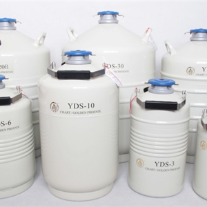 金凤小容积液氮罐YDS-3/YDS-6/YDS-10