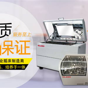 BSC-1500ⅡB2-Pro生物安全柜厂家直销