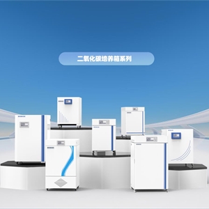 BJPX-C260M医用二氧化碳培养箱