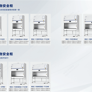 BSC-1800IIB2-11240博科生物新国标生物安全柜