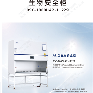 博科生物新国标生物安全柜BSC-1800IIA2-11229
